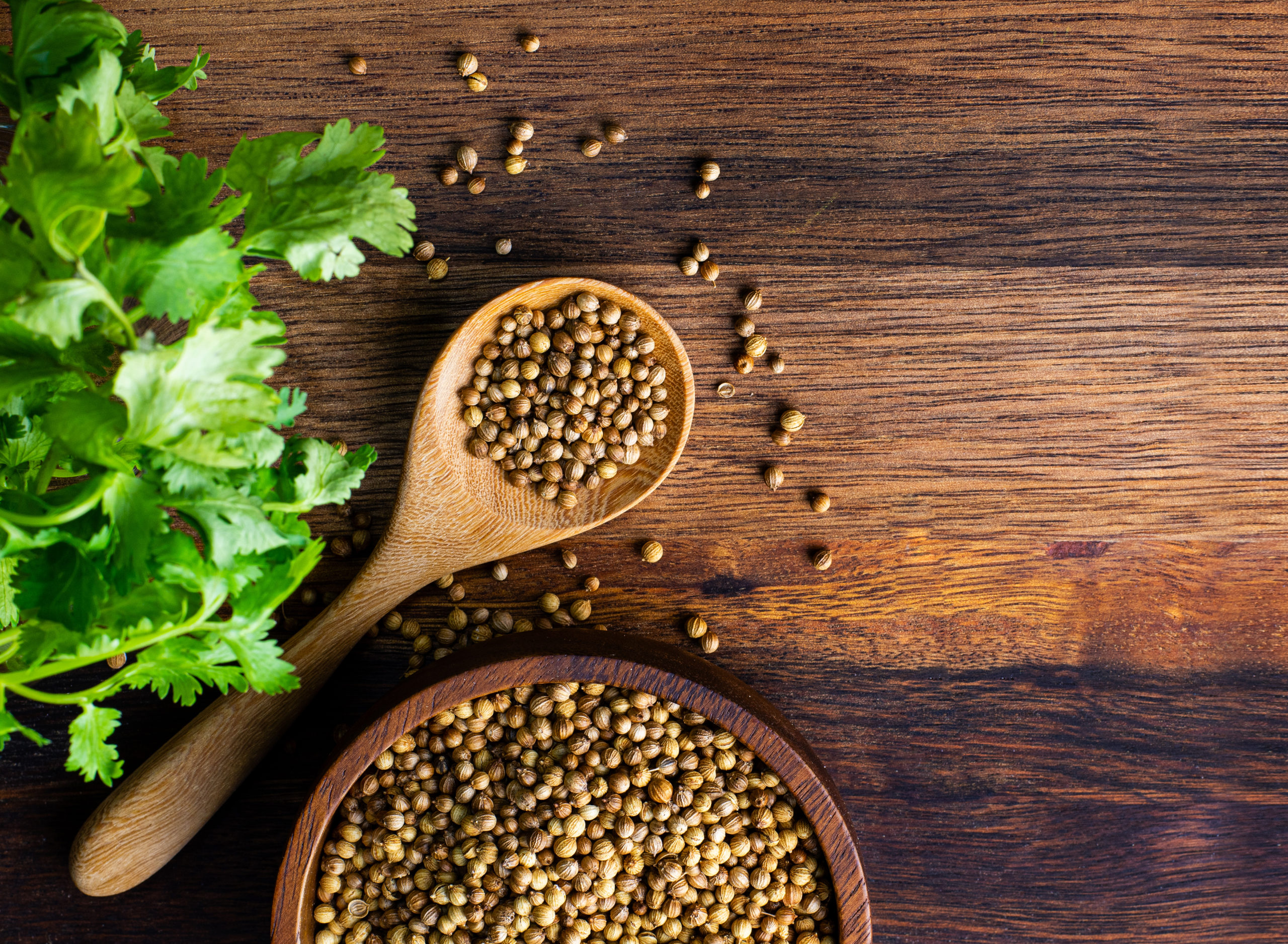 Coriander seeds