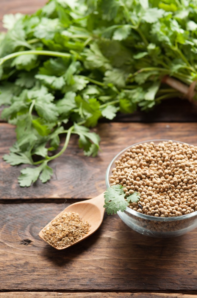 Coriander seeds